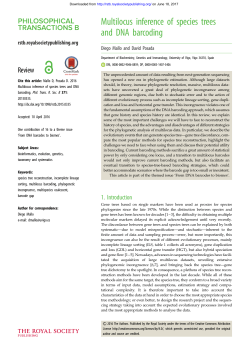 Multilocus inference of species trees and DNA barcoding