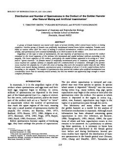 Distribution and Number of Spermatozoa in the Oviduct of the