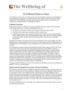 The Wellbeing of