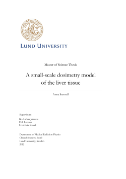 A small-scale dosimetry model of the liver tissue