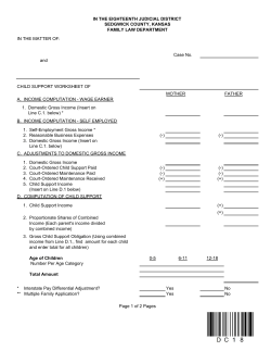Domestic Relations Child Support Worksheet