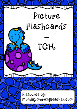 Picture Flashcards &ndash; TCH