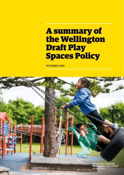 Summary of the Wellington Draft Play Spaces Policy