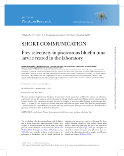 SHORT COMMUNICATION Prey selectivity in piscivorous bluefin
