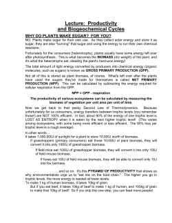 Lecture: Productivity and Biogeochemical Cycles