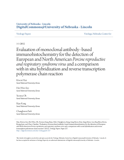 Evaluation of monoclonal antibody&ndash;based immunohistochemistry for