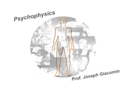 HF 8 - Psychophysics and Memory