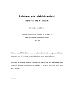 Evolutionary history of clathrin-mediated endocytosis and the