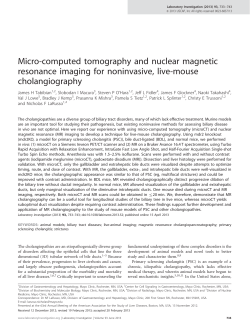 Micro-computed tomography and nuclear magnetic