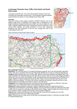 Landscape Character Area: Cliffs of the North and South East coasts