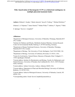 Inactivation of thermogenic UCP1 as a historical