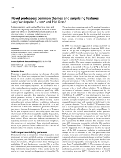 Novel proteases - Utrecht University Repository
