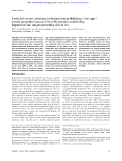 Lentiviral vectors containing the human