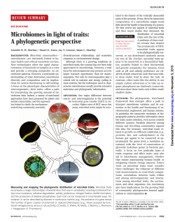 Microbiomes in light of traits: A phylogenetic perspective