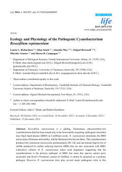Ecology and Physiology of the Pathogenic Cyanobacterium
