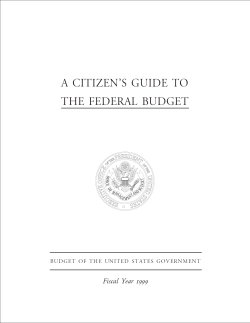 A Citizen`s Guide to the Federal Budget