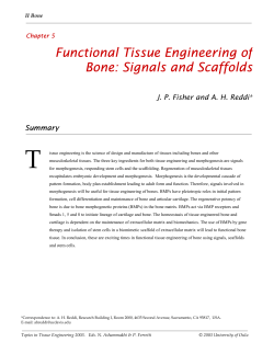 Functional Tissue Engineering of Bone: Signals and Scaffolds