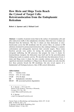 How Ricin and Shiga Toxin Reach the Cytosol of Target Cells