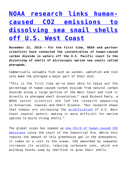 NOAA research links human-caused CO2 emissions to dissolving
