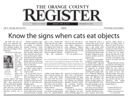 Know the signs when cats eat objects