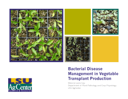 Bacterial Disease Management Strategies for Vegetable Transplants