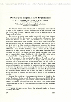 Petrakiopsis elegans, a new Hyphomycete