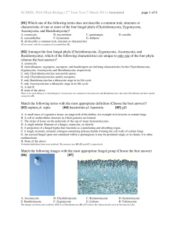 SC/BIOL 2010 (Plant Biology) 2nd Term Test (7 March 2011