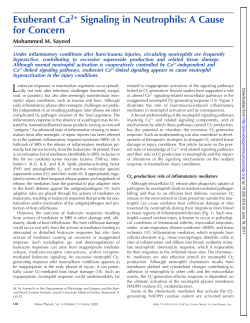 Exuberant Ca2+ Signaling in Neutrophils: A Cause for