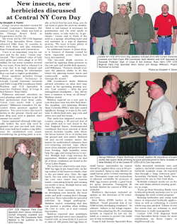 This week`s features