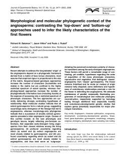 contrasting the `top-down`