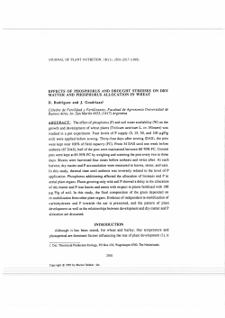 EFFECTS OF PHOSPHORUS AND DROUGHT STRESSES ON