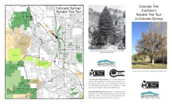 Notable Tree Brochure - Colorado Tree Coalition