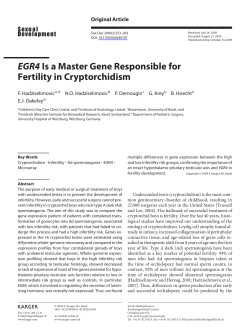 EGR4 Is a Master Gene Responsible for Fertility in Cryptorchidism