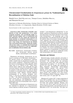 Chromosomal Circularization in Streptomyces griseus by