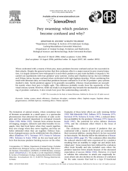 Prey swarming: which predators become confused and why?
