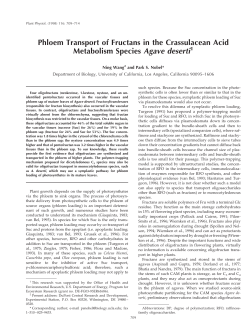 Phloem Transport of Fructans in the Crassulacean Acid