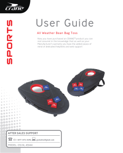 All Weather Bean Bag Toss