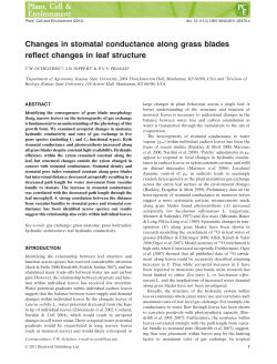 Changes in stomatal conductance along grass blades reflect