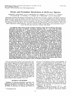 Purine and Pyrimidine Metabolism in Mollicutes Species