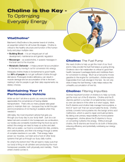 Choline is the Key - To Optimizing Everyday Energy