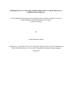 Performance on a picture-word verification task by