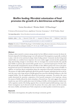 Biofilm feeding: Microbial colonization of food