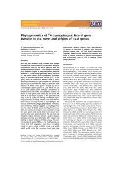 lateral gene transfer in the core and origins of host genes
