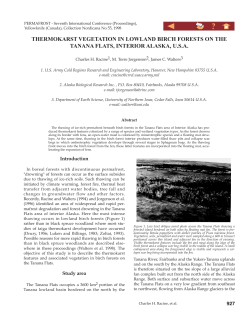 thermokarst vegetation in lowland birch forests on