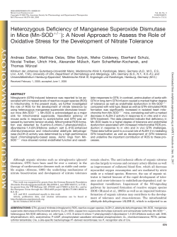 Heterozygous Deficiency of Manganese Superoxide Dismutase in