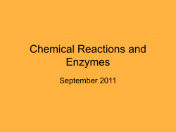 Chemical Reactions and Enzymes