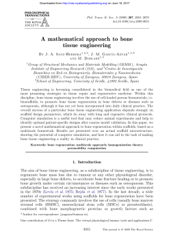 A mathematical approach to bone tissue engineering