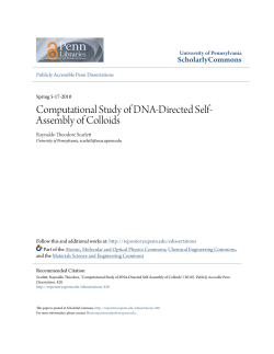 Computational Study of DNA-Directed Self