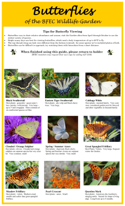 a guide to the butterflies of the BFEC