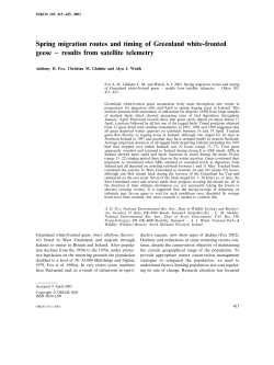 Spring migration routes and timing of Greenland white